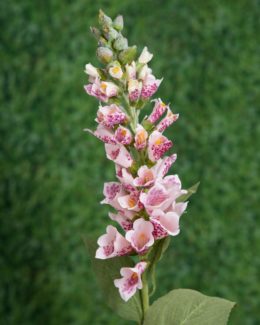 Foxglove - Mixed  Pink Faux