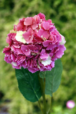 Hydrangea - Dark Pink - Faux