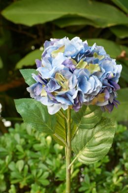 Hydrangea - Blue/Mauve - Faux Sold Out