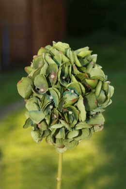 Hydrangea Short Stem Dark Green