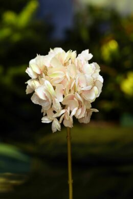 Hydrangea - Short Stem Pale Pink - Faux