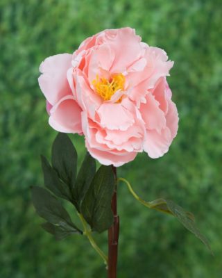 Peony - Single Open Light Pink - Faux