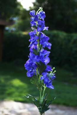 Delphinium - Purple - Faux