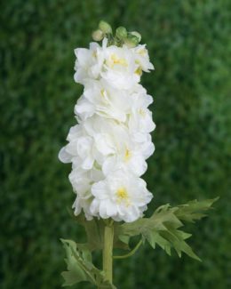 Delphinium - Double White - Faux
