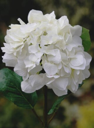 Hydrangea White Faux
