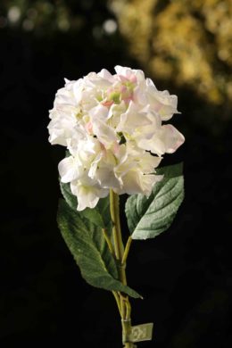 Hydrangea - White with Pink - Faux