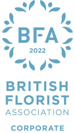 Corporate Logo 2022 White Background